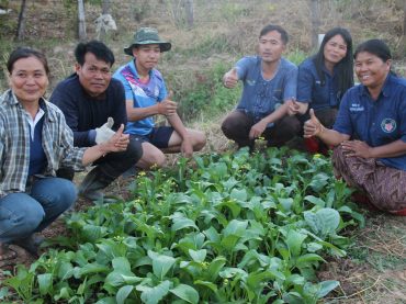 เกษตร-ปลอดภัย-พอเพียง-มหาสารคาม