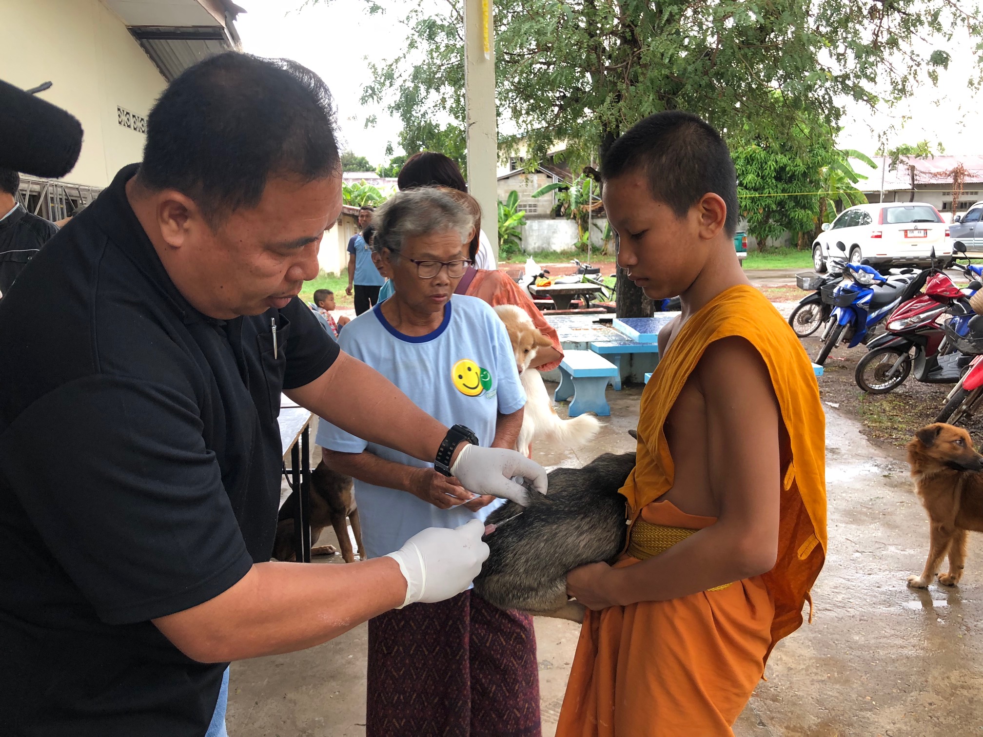 หนองคาย ปศุสัตว์เร่งฉีดวัคซีนสุนัขหลังพบผู้เสียชีวิตจากพิษ ...