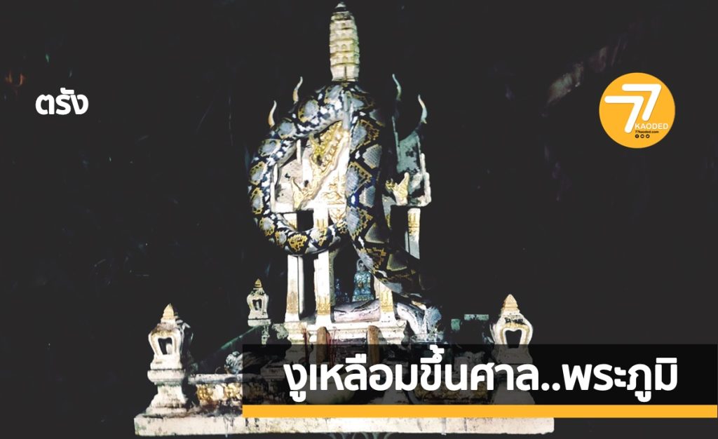 ตกใจ.งูเหลือม,ศาลพระภูมิ,