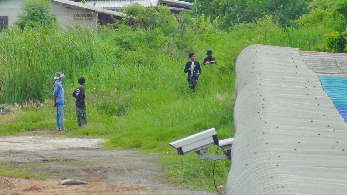 ชุดผลักดันช้างกลับป่า