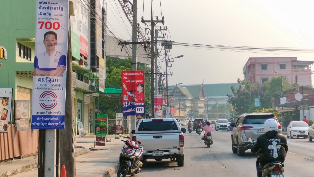 พากันมายึดครองเสาไฟ กันทุกต้นแล้ว