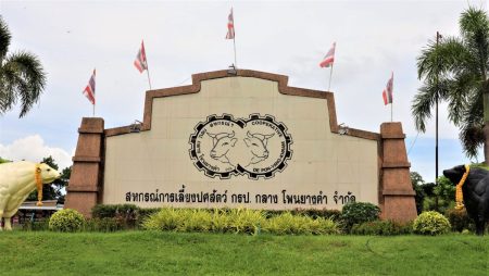 โคขุนโพนยางคำ