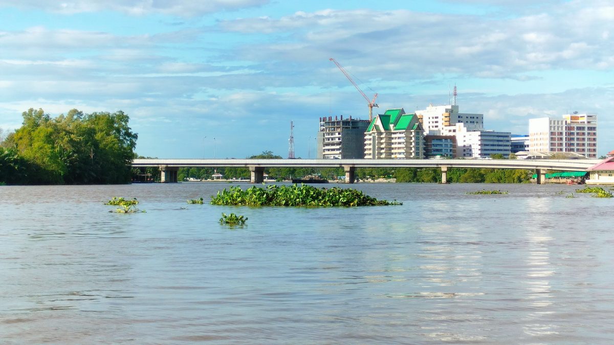 หวั่นพุ่งชนสะพาน