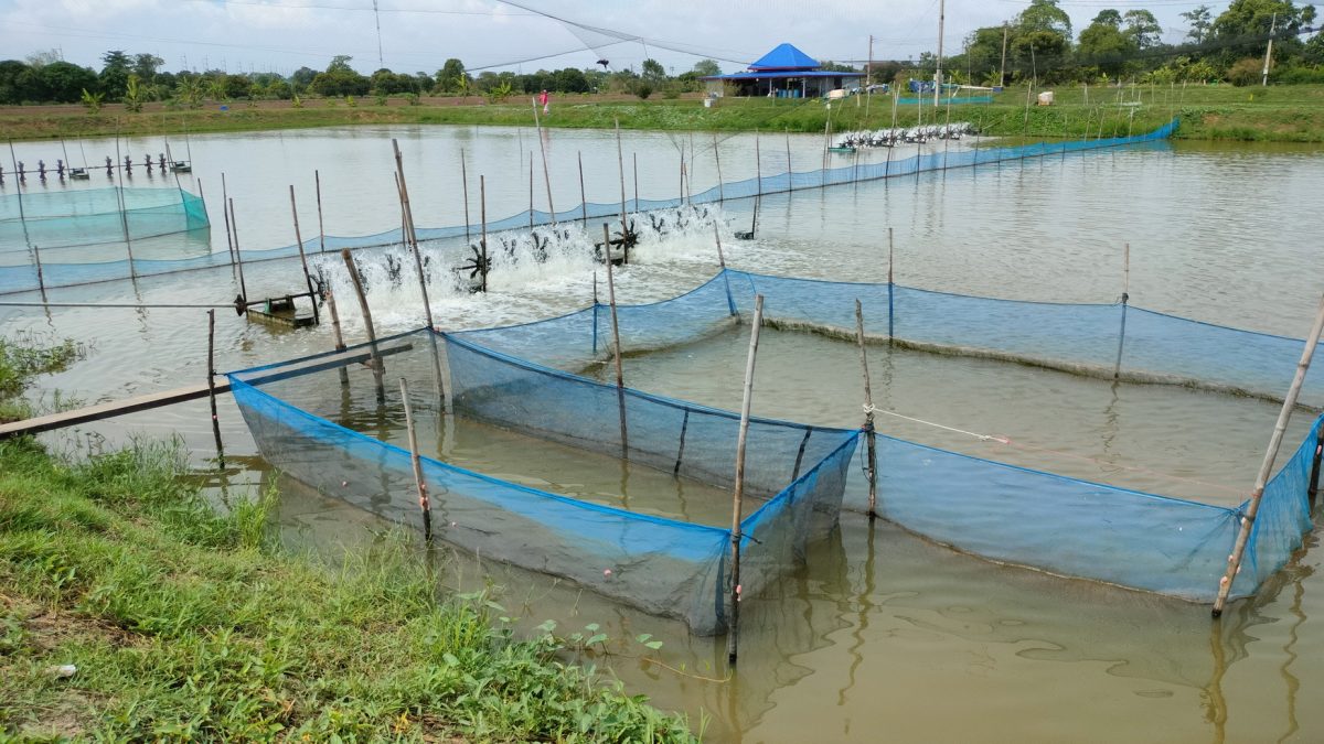 ใช้พลังงานไฟฟ้าในการผลิต