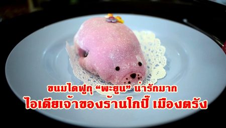 ขนมไดฟูกุ, พะยูน,อุ๋ง อุ๋ง,ไอเดียทำเงิน ร้านโกปี๊, ร้านกาแฟตรัง,