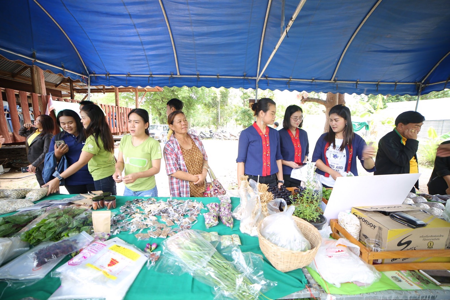 เกษตรอินทรีย์ อุบลราชธานี Organic