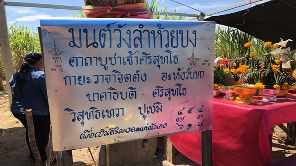 เลขเด็ดตอไม้