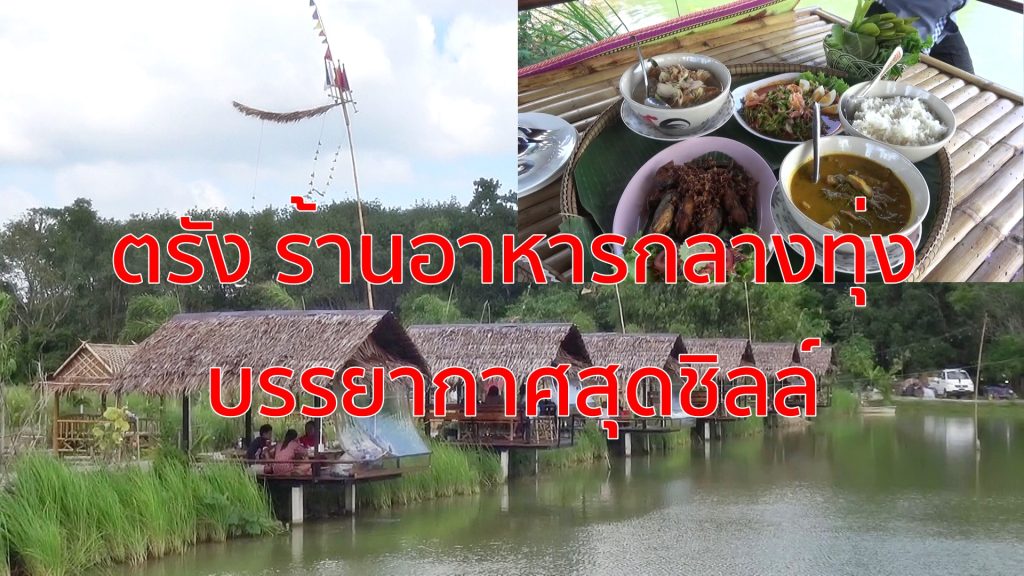 ร้านอาหารกลางทุ่ง,คนรักสุขภาพ,บรรยากาศสุดชิลล์,นาหมื่นศรี,ร้านไร่มีตาลตะวัน,